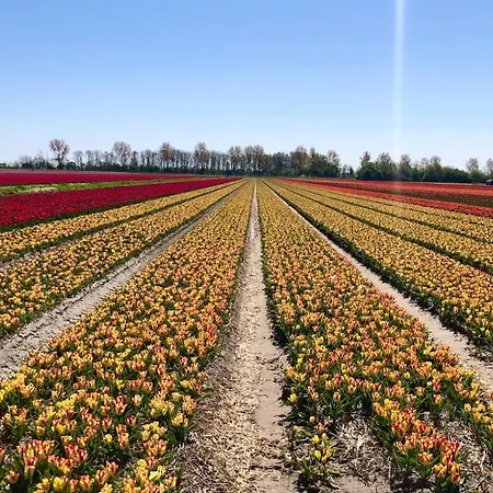 Bed & Breakfast De Cley