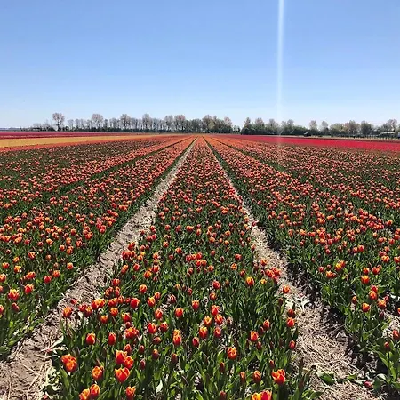 De Cley 4* Noordwijk