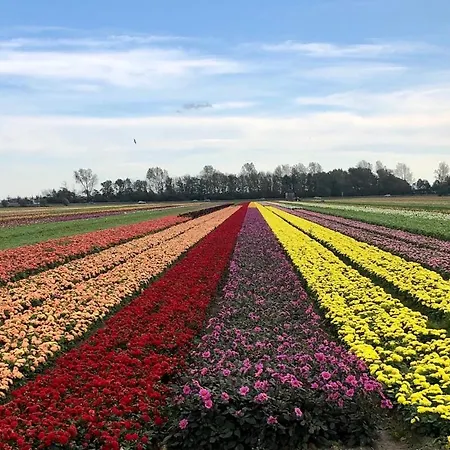 De Cley 4* Noordwijk