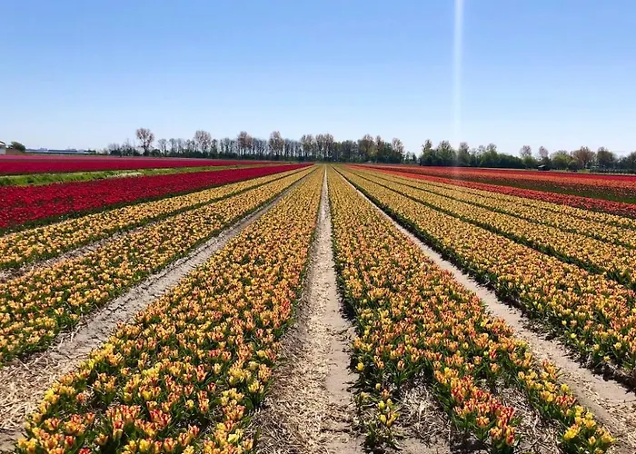 Frühstückspension De Cley