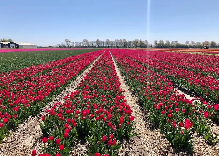 Frühstückspension De Cley