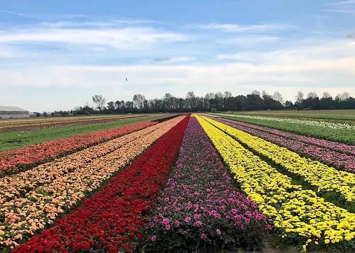 De Cley 4* Noordwijk