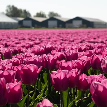 Bed and breakfast De Cley 4*